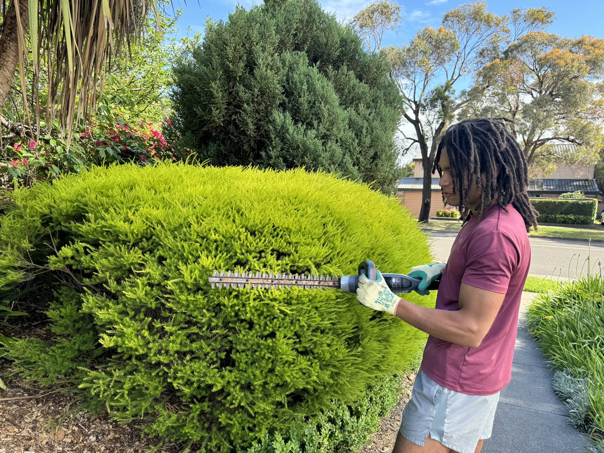 Hakeem cutting hedge